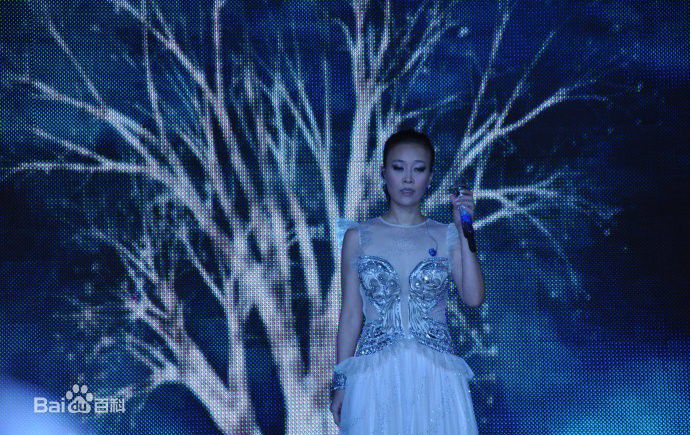 最新那英在2010.10.26 《那又怎么样》维也纳演唱会中的壁纸