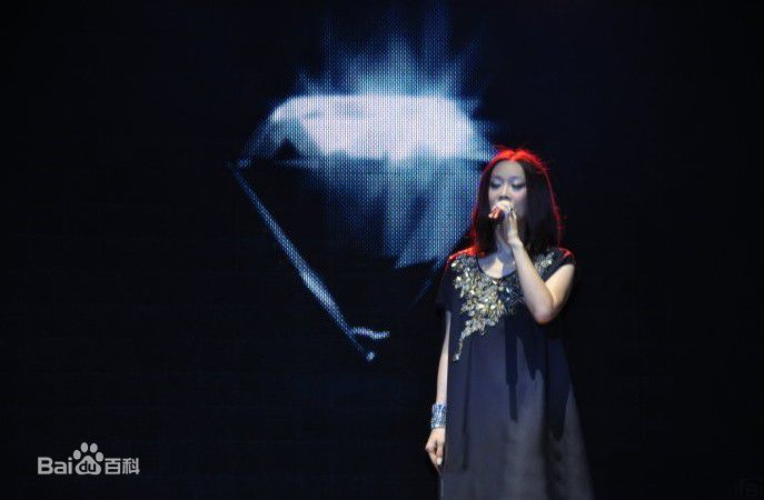 最新那英在2010.10.26 《那又怎么样》维也纳演唱会中的壁纸