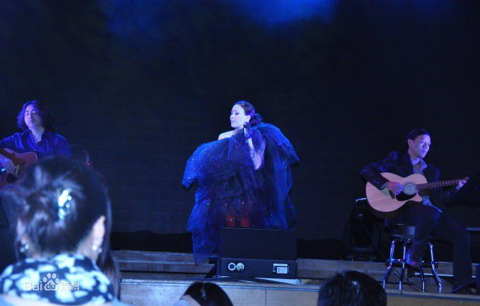 最新那英在2010.10.26 《那又怎么样》维也纳演唱会中的壁纸