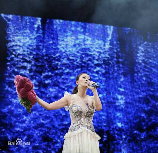 最新那英在2010.10.26 《那又怎么样》维也纳演唱会中的壁纸