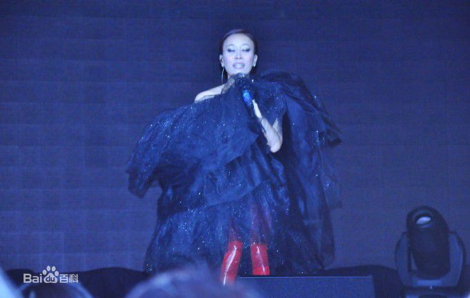 最新那英在2010.10.26 《那又怎么样》维也纳演唱会中的壁纸