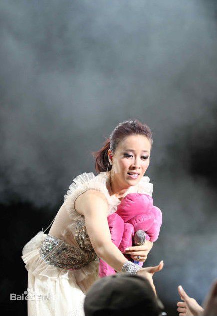 最新那英在2010.10.26 《那又怎么样》维也纳演唱会中的壁纸