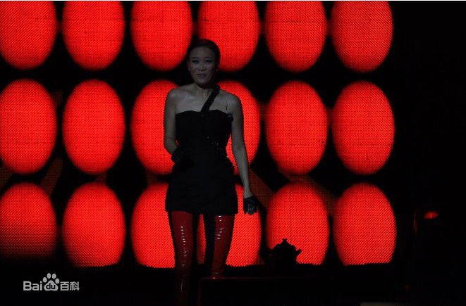 最新那英在2010.10.26 《那又怎么样》维也纳演唱会中的壁纸