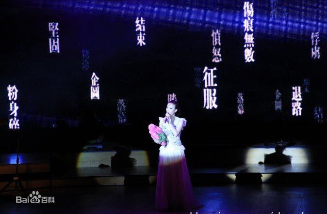 最新那英在2010.10.26 《那又怎么样》维也纳演唱会中的壁纸