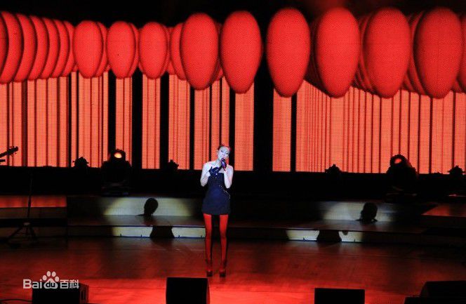 最新那英在2010.10.26 《那又怎么样》维也纳演唱会中的壁纸