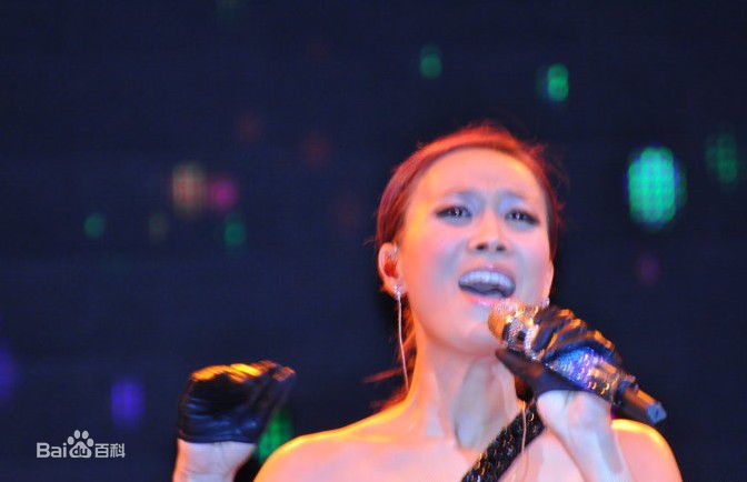 最新那英在2010.10.26 《那又怎么样》维也纳演唱会中的壁纸