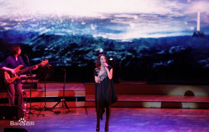 最新那英在2010.10.26 《那又怎么样》维也纳演唱会中的壁纸