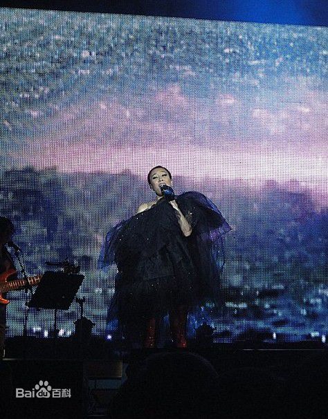 最新那英在2010.10.26 《那又怎么样》维也纳演唱会中的壁纸