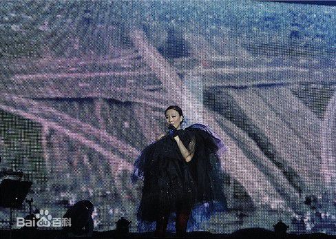 最新那英在2010.10.26 《那又怎么样》维也纳演唱会中的壁纸