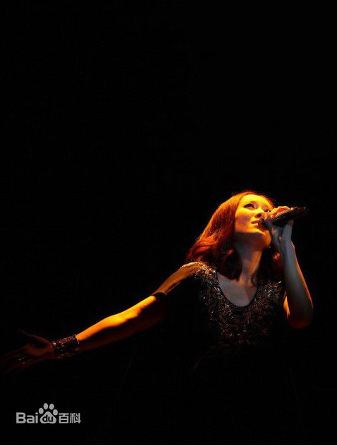 最新那英在2010.10.26 《那又怎么样》维也纳演唱会中的壁纸