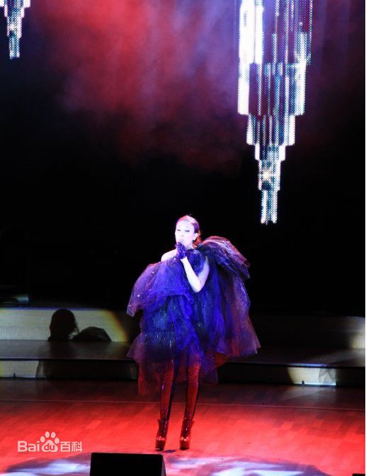 最新那英在2010.10.26 《那又怎么样》维也纳演唱会中的壁纸