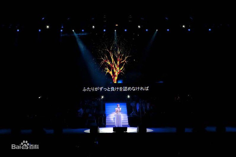 那英在2010.12.21《那又怎么样》东京演唱会中的