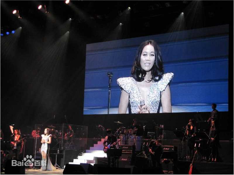 那英在2010.12.21《那又怎么样》东京演唱会中的