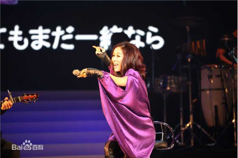 那英在2010.12.21《那又怎么样》东京演唱会中的