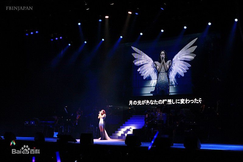 那英在2010.12.21《那又怎么样》东京演唱会中的