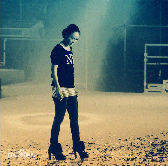 高清那英在2010.12.31《那又怎么样》济南演唱会中的图集