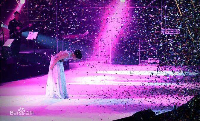 高清那英在2010.12.31《那又怎么样》济南演唱会中的图集