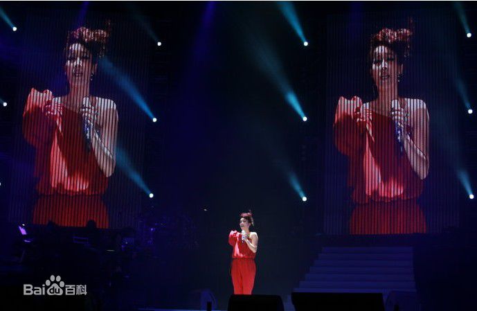 高清那英在2010.12.31《那又怎么样》济南演唱会中的图集