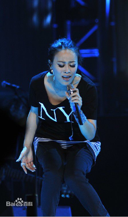 高清那英在2010.12.31《那又怎么样》济南演唱会中的图集