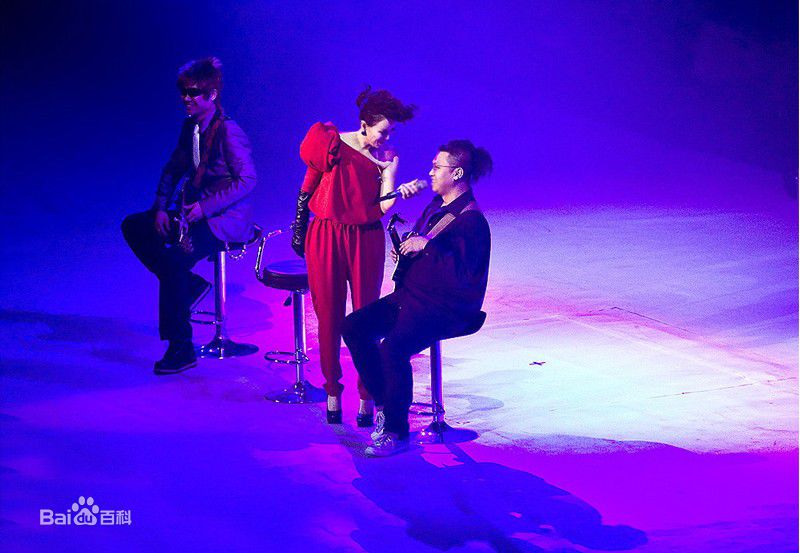 高清那英在2010.12.31《那又怎么样》济南演唱会中的图集