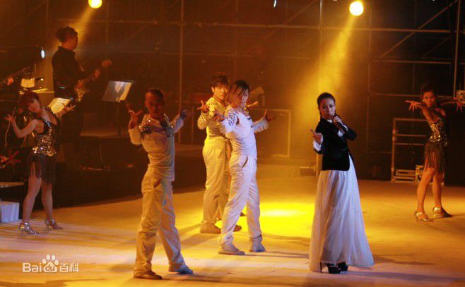 高清那英在2010.12.31《那又怎么样》济南演唱会中的图集