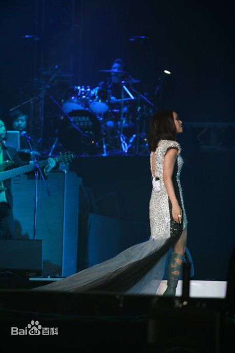 高清那英在2010.12.31《那又怎么样》济南演唱会中的图集