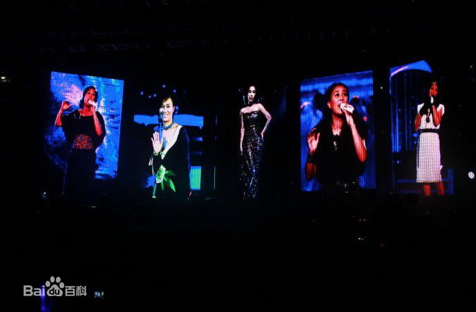 高清那英在2010.12.31《那又怎么样》济南演唱会中的图集