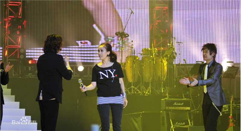 高清那英在2010.12.31《那又怎么样》济南演唱会中的图集