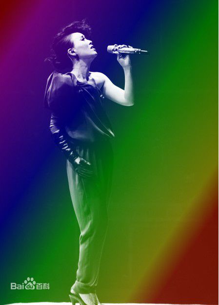 高清那英在2010.12.31《那又怎么样》济南演唱会中的图集