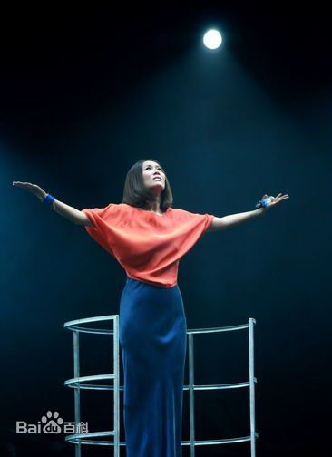 高清那英在2011.9.23《那又怎么样》北京演唱会中的图集