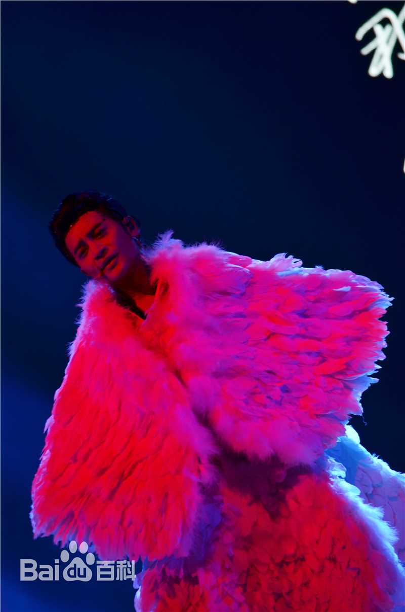 陈志朋(Julian Chen (Banny Chen ))志爱演唱会生活照相册