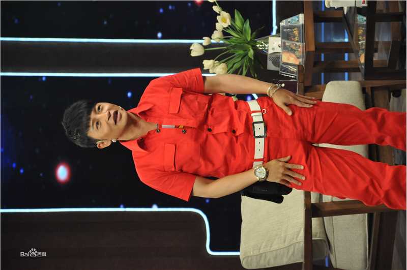 最新陈志朋(Julian Chen (Banny Chen ))在《非常静距离》节目录制中的壁纸