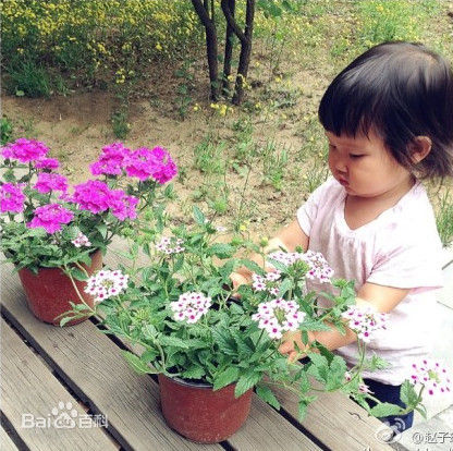 赵子琪和女儿生活照相册