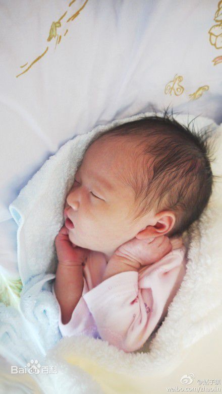 赵子琪精彩图册