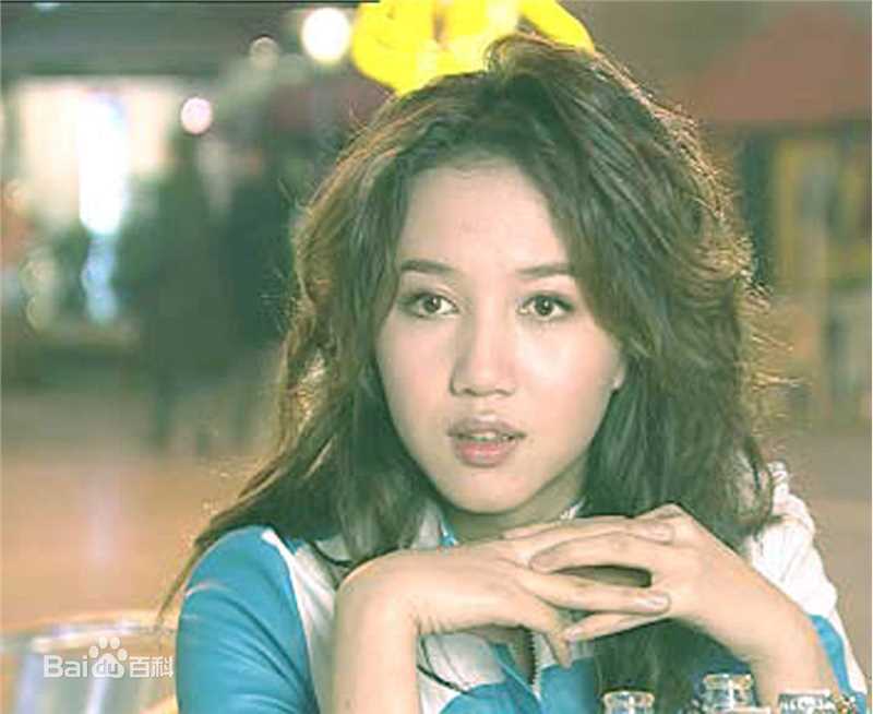 韩雯雯(Vivien Han)2003年《红色地毯黑色梦》最全剧照