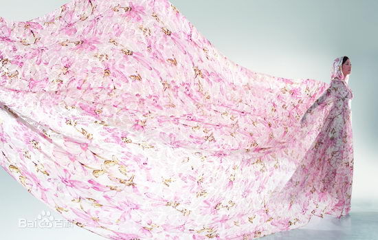 韩雪(Cecilia Han、ハン シュエ（日语）)音乐专辑生活照相册