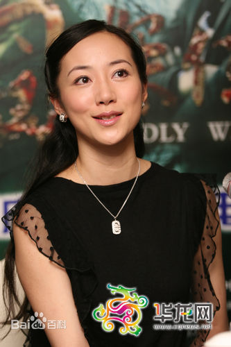 精选韩雪(Cecilia Han、ハン シュエ（日语）)在电影《囧探佳人》中的图册