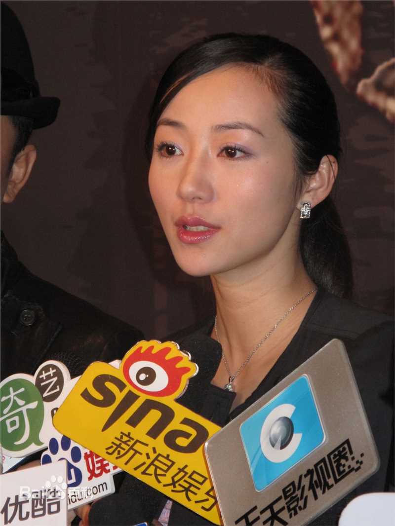 精选韩雪(Cecilia Han、ハン シュエ（日语）)在电影《囧探佳人》中的图册