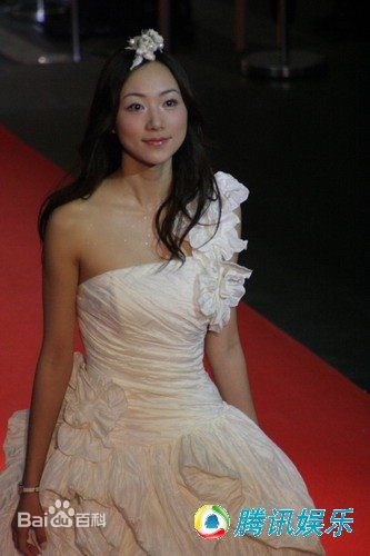 韩雪(Cecilia Han、ハン シュエ（日语）)颁奖礼相关图册