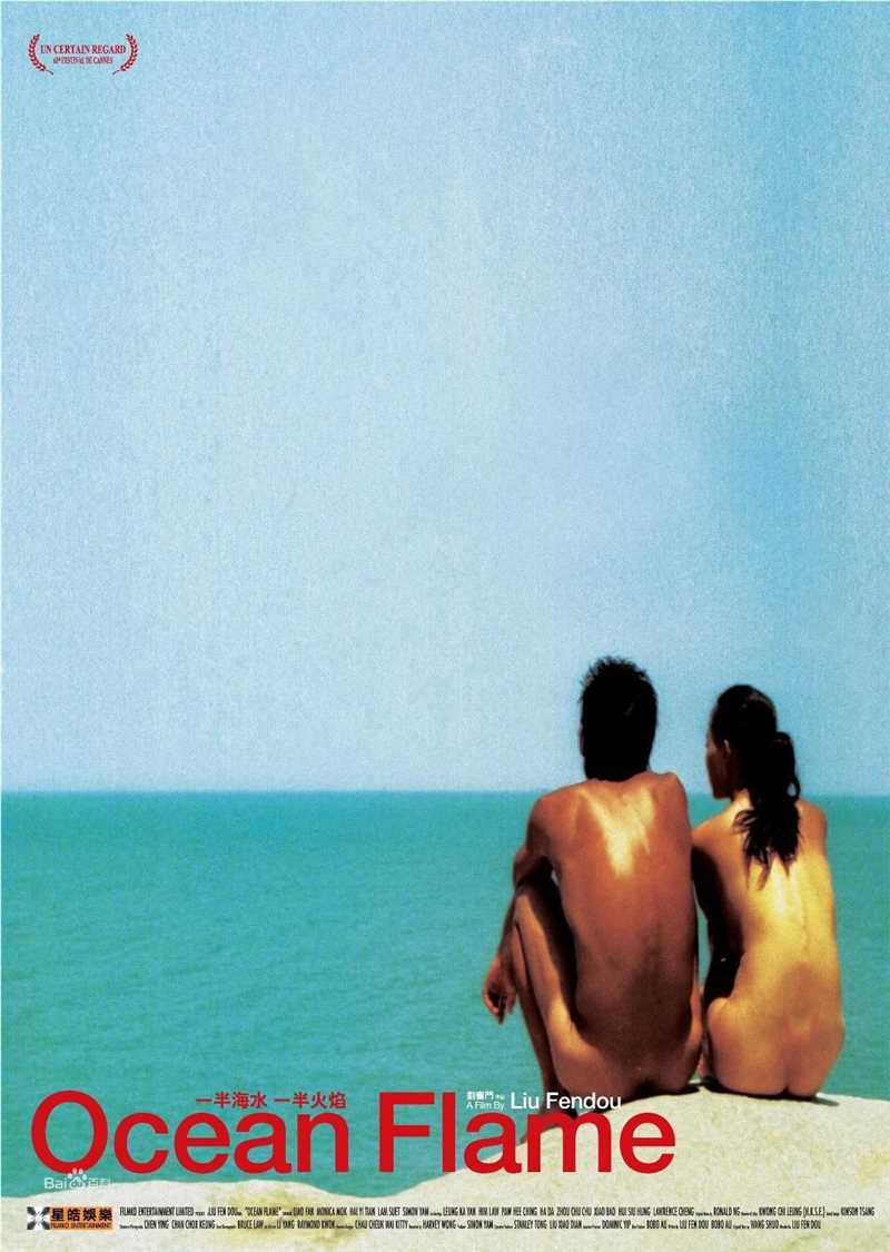 刘奋斗导演作品精选海报图册