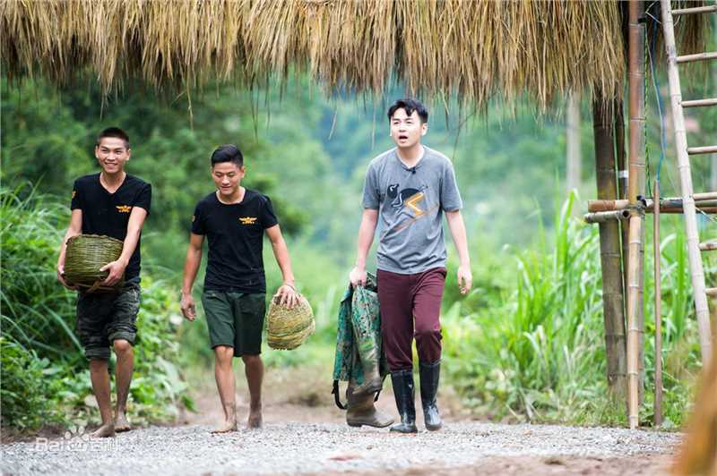 雷佳音生活相对论壁纸壁纸