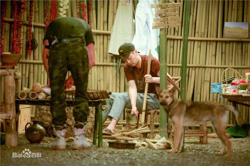 雷佳音生活相对论壁纸壁纸