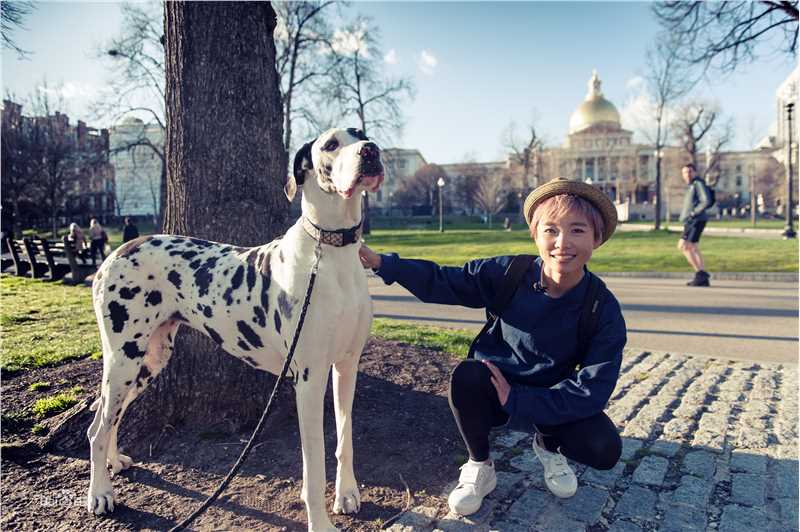 许飞最优质波士顿相册