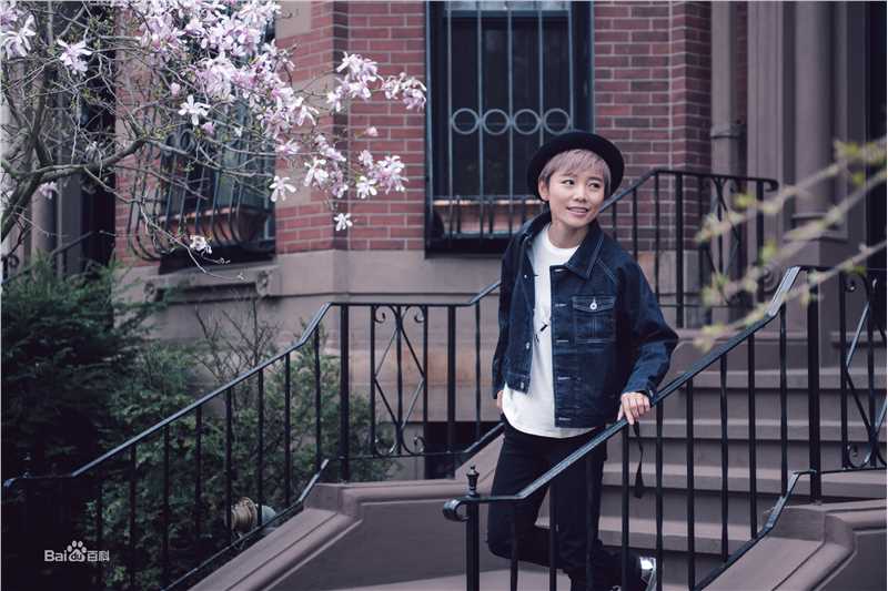 许飞最优质波士顿相册