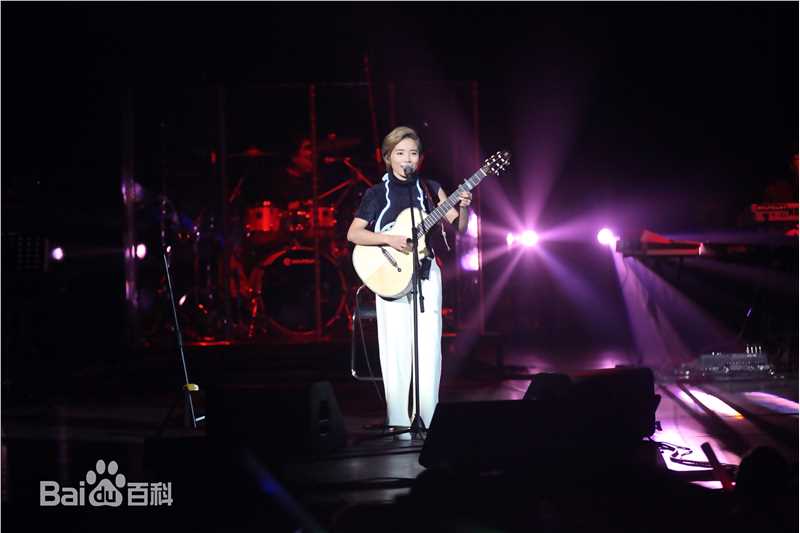 许飞少年去游荡巡回演唱会前后照片