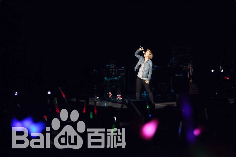 许飞少年去游荡巡回演唱会前后照片