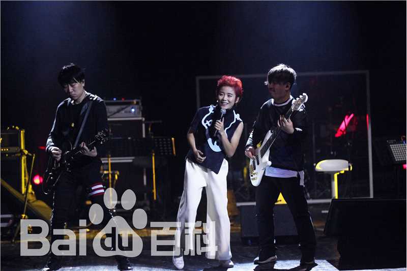 许飞少年去游荡巡回演唱会前后照片