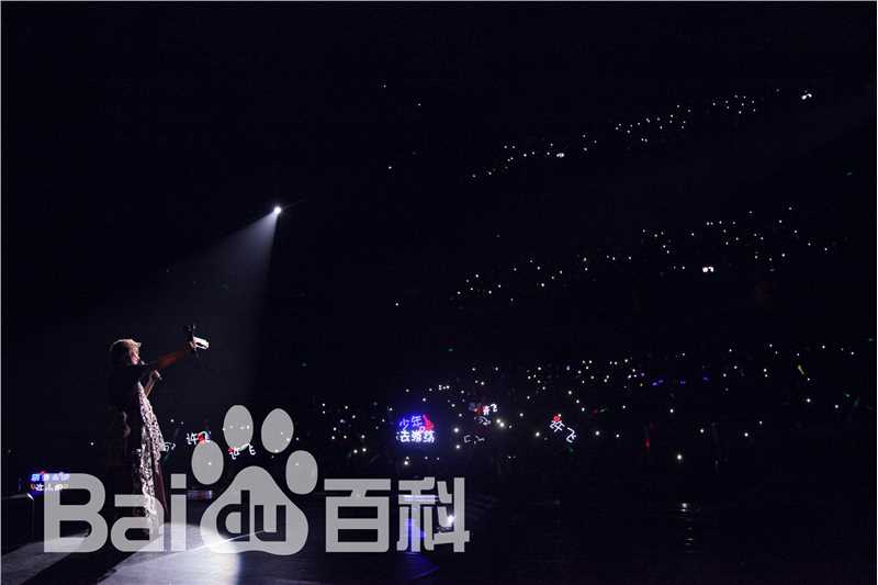 许飞少年去游荡巡回演唱会前后照片