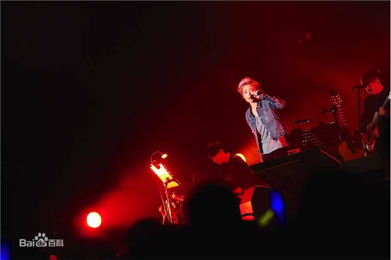 许飞少年去游荡巡回演唱会前后照片