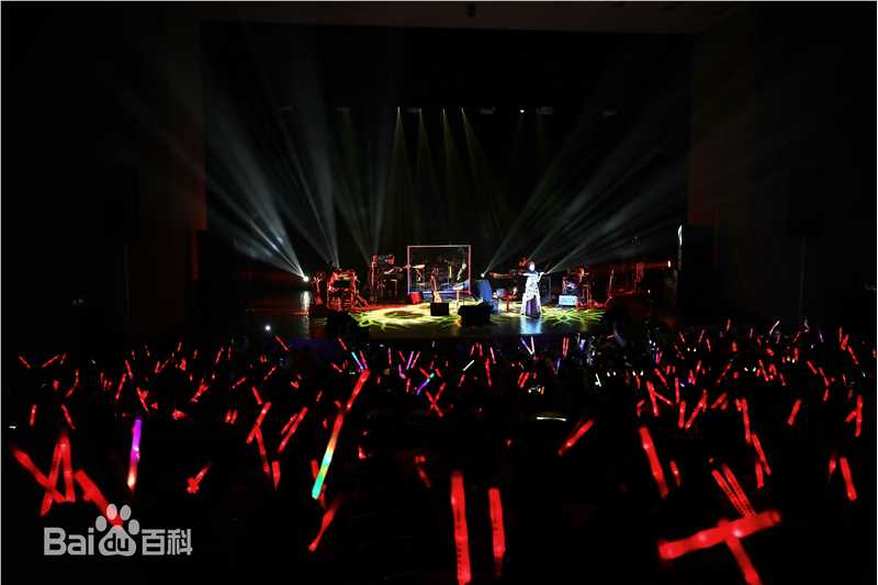 许飞少年去游荡巡回演唱会前后照片